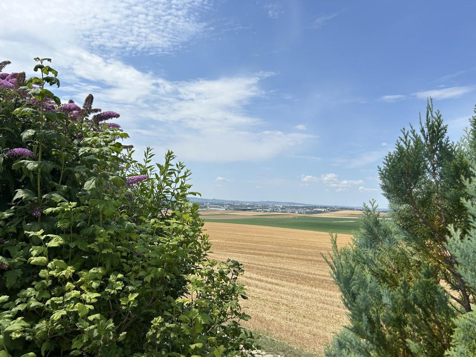 L'Intemporel Cernay-les-Reims Luaran gambar
